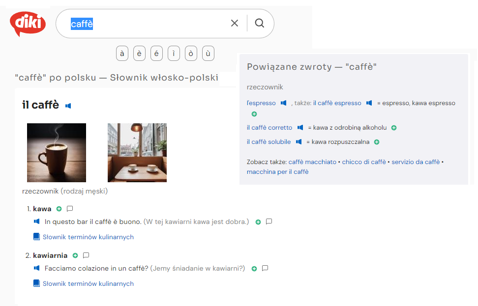 Jak wygląda słownik włoskiego Diki